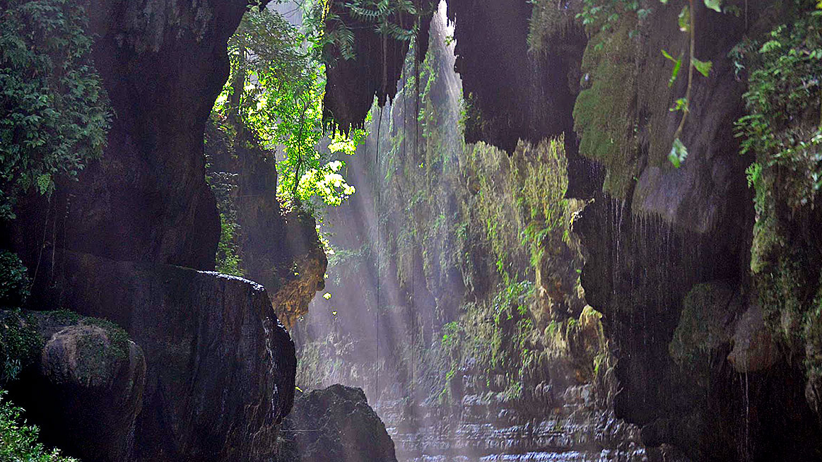 Pine-Scented Shores: The Natural Beauty of Torba Bay