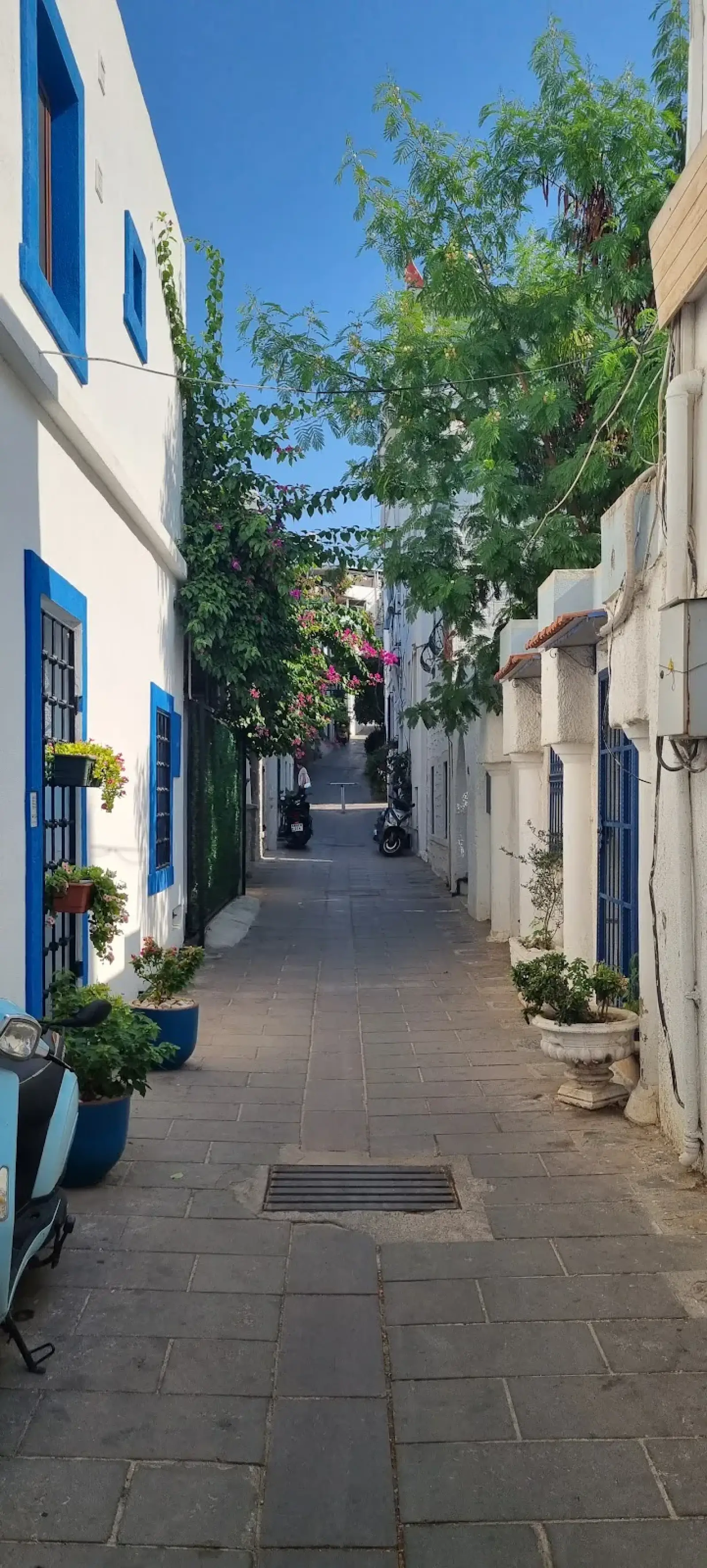 Bodrum Milas Airport (BJV) nach Durak Villa Pension Privater Transfer