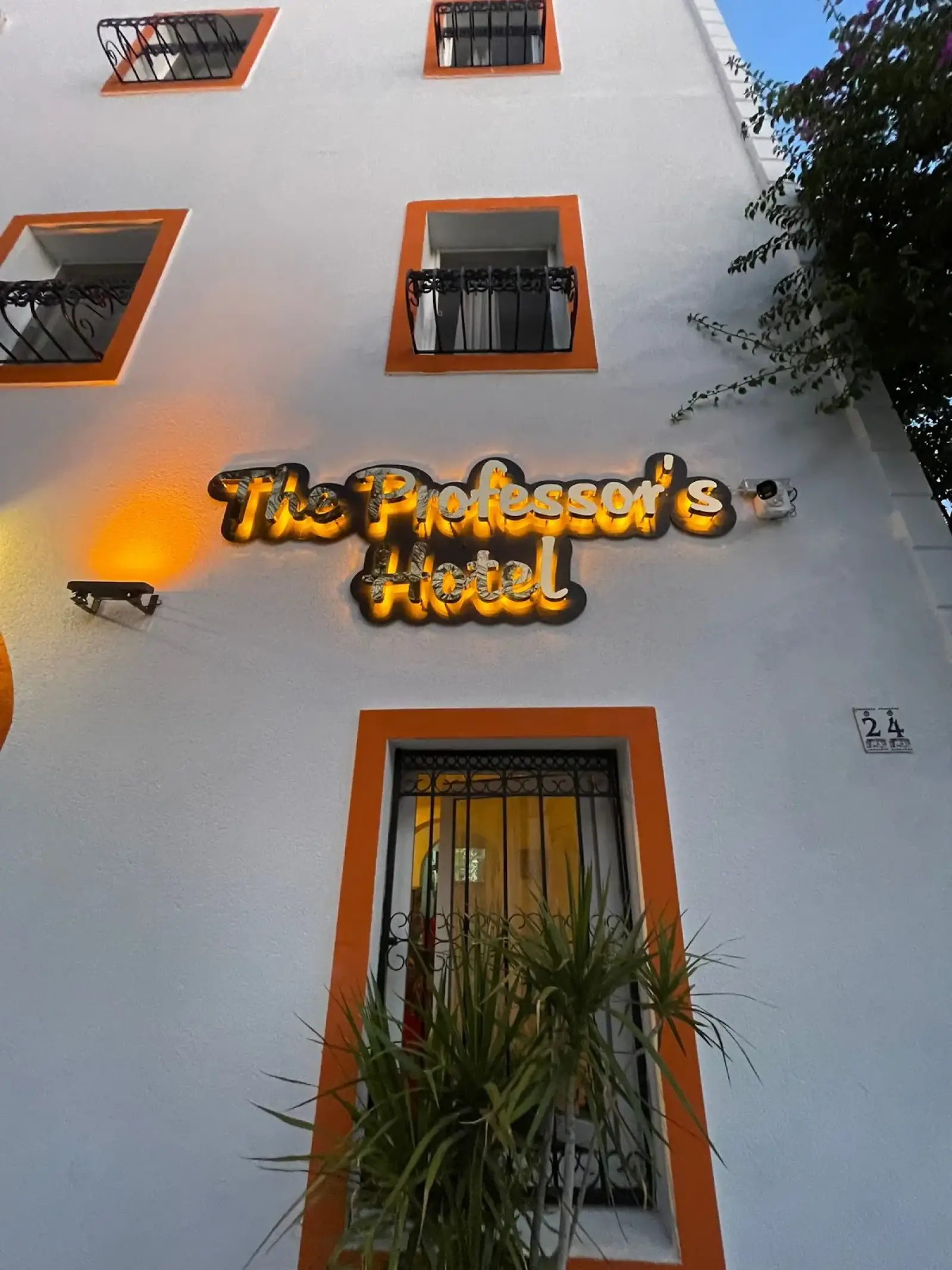 Bodrum Milas Airport (BJV) nach The Professor's Hotel Privater Transfer