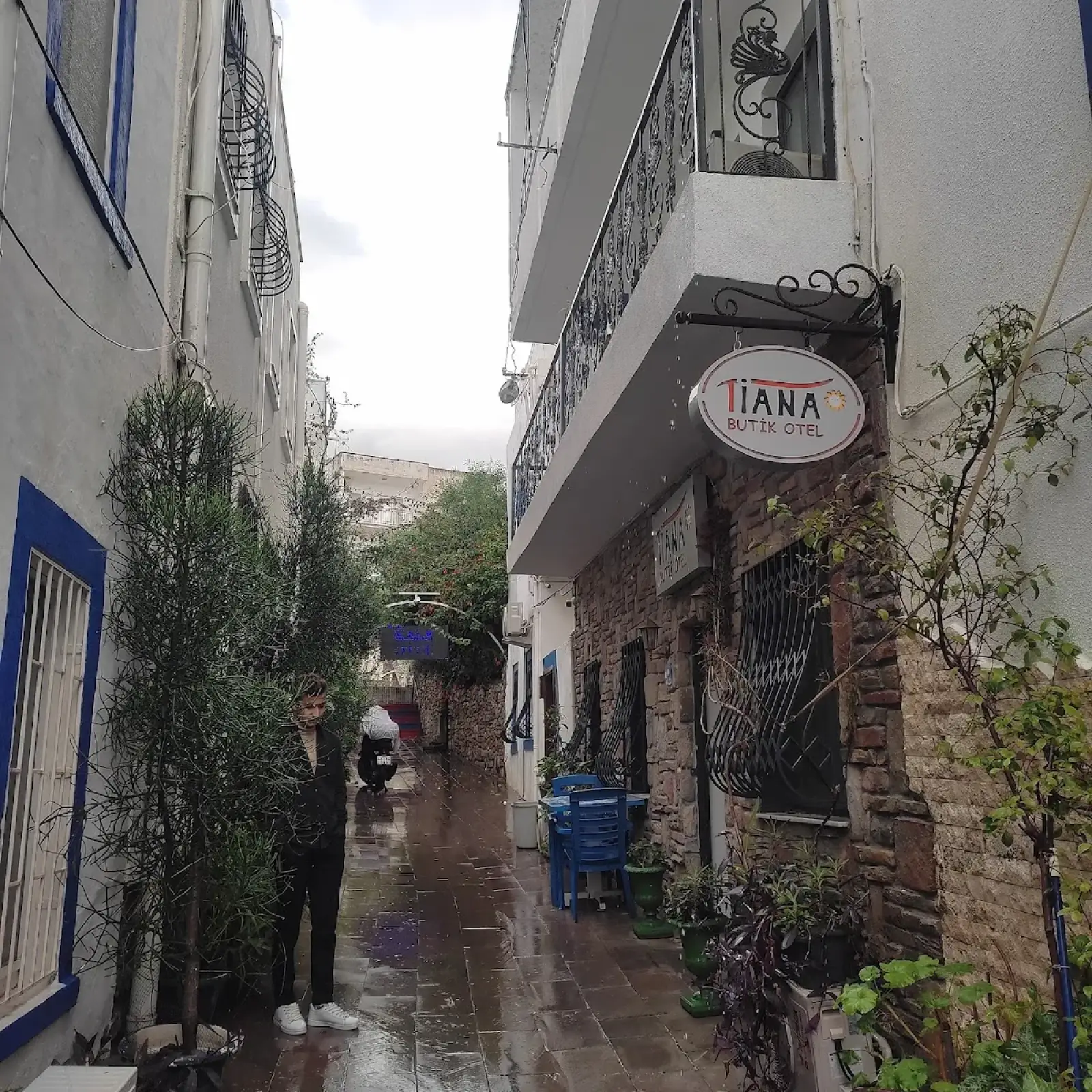 Bodrum Milas Airport (BJV) to tiana butik otel Private Transfer