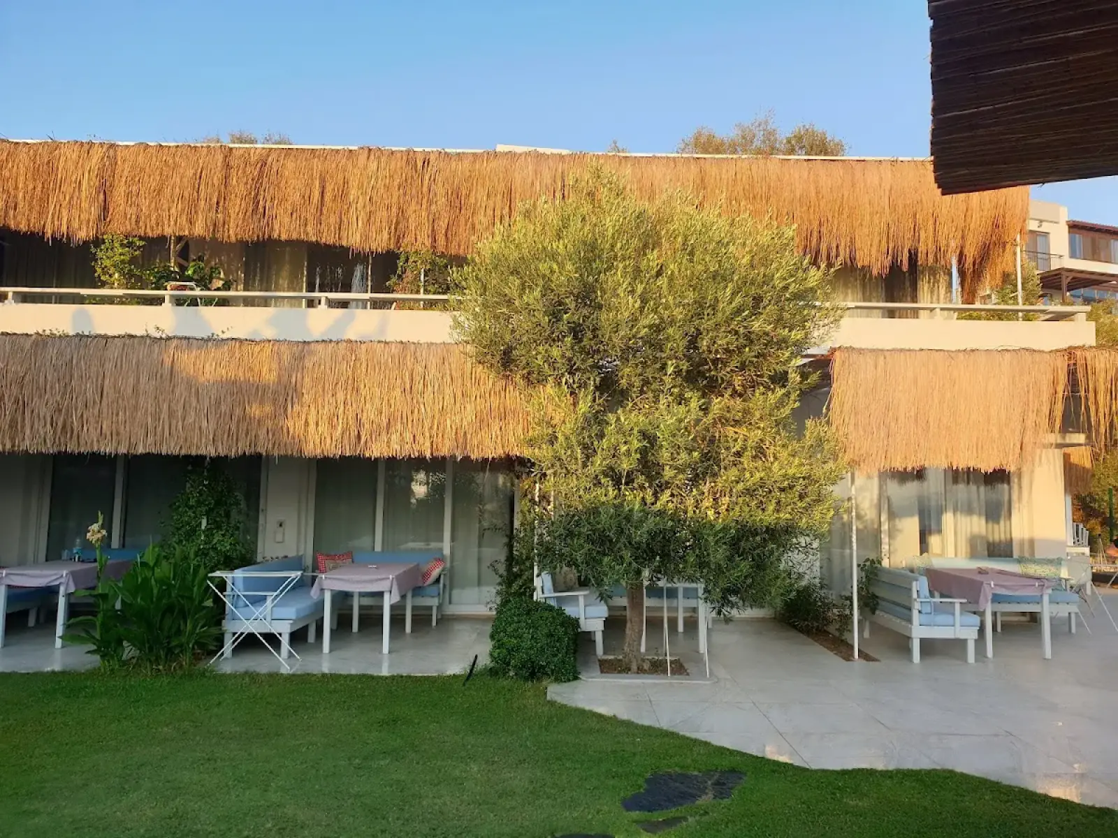Bodrum Milas Airport (BJV) to Oza butik hotel Private Transfer