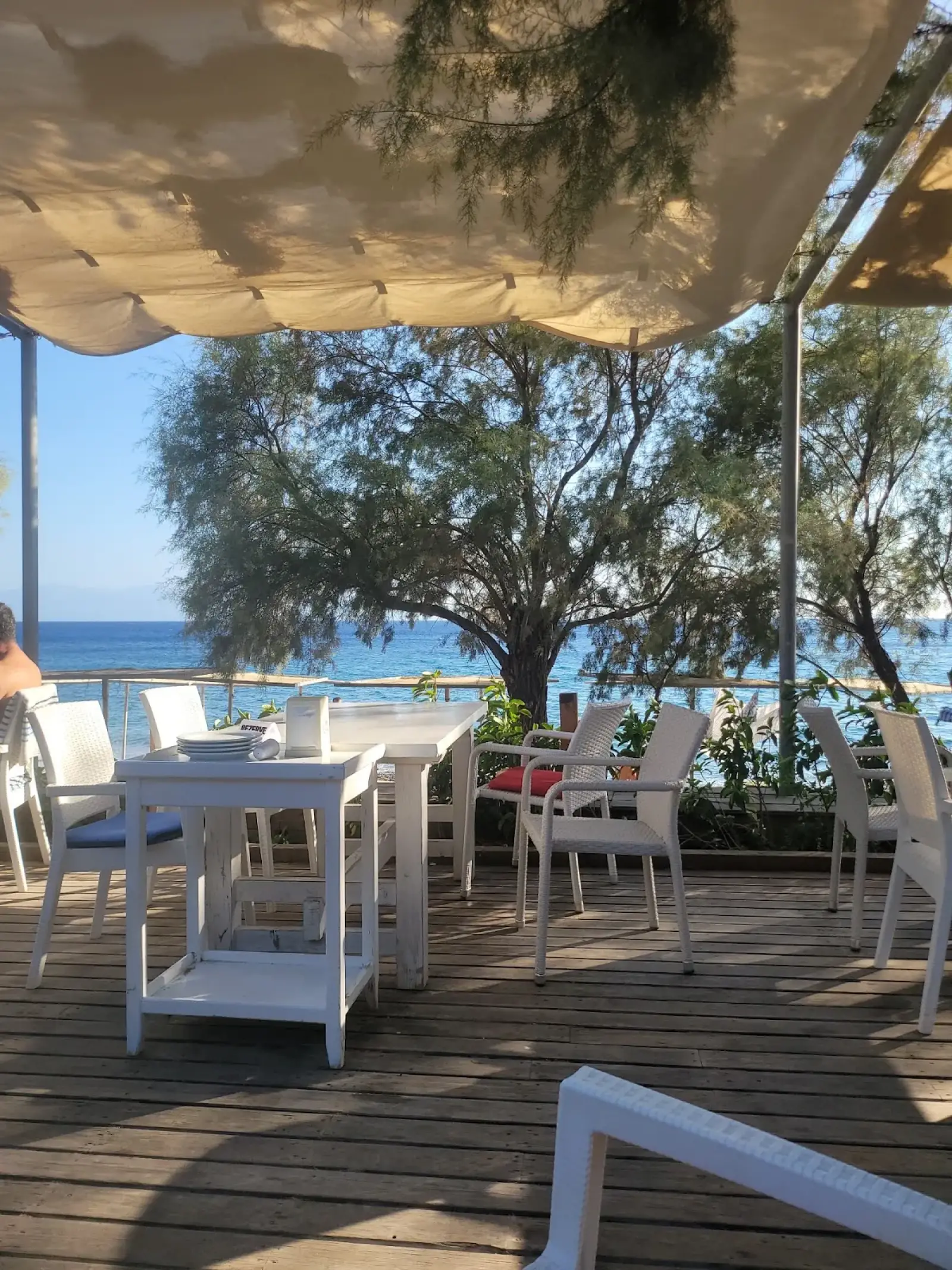 Bodrum Milas Airport (BJV) в Şahin Motel restaurant Частный трансфер