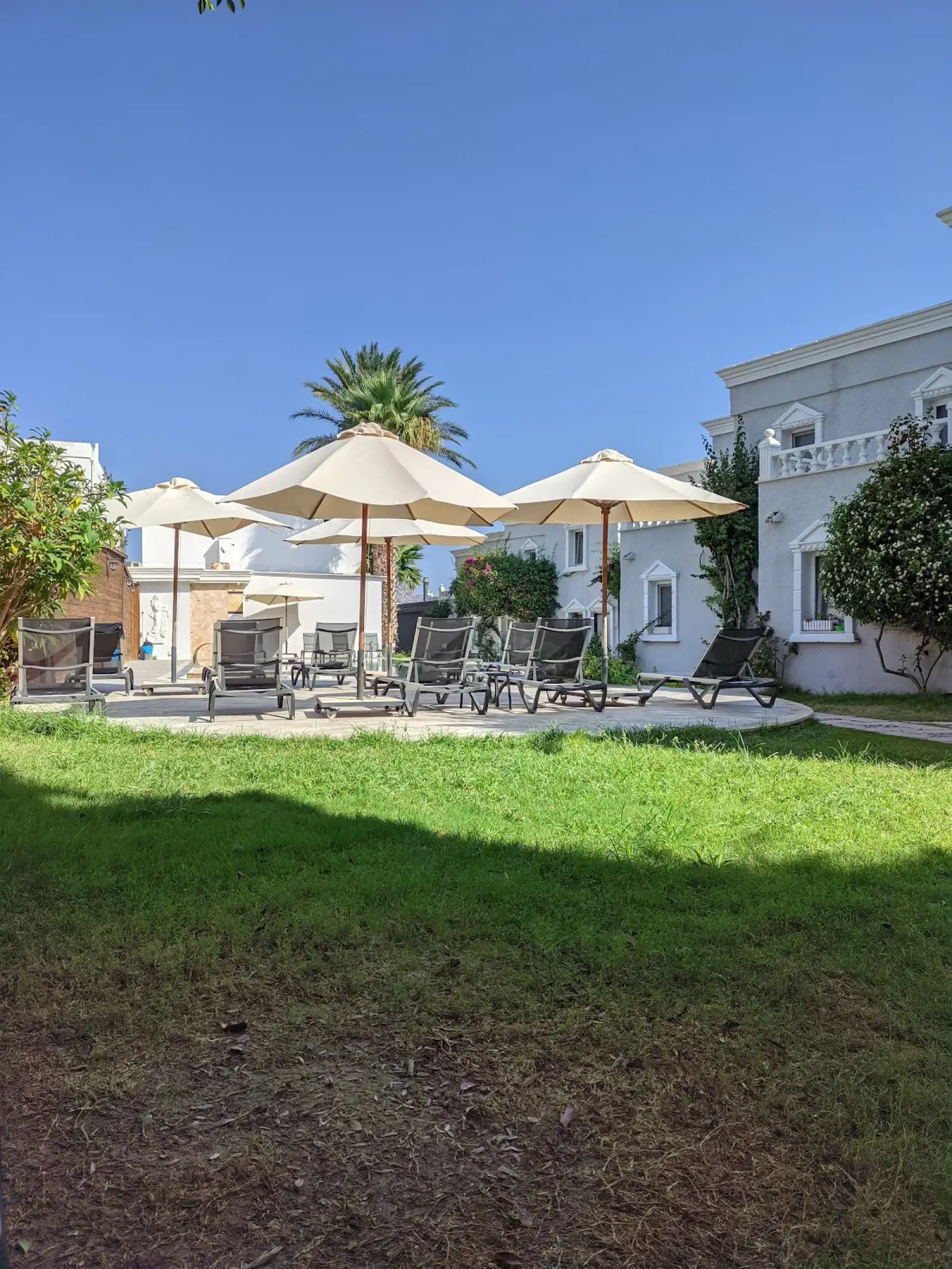 Bodrum Milas Airport (BJV) в Art Suites Hotel Частный трансфер