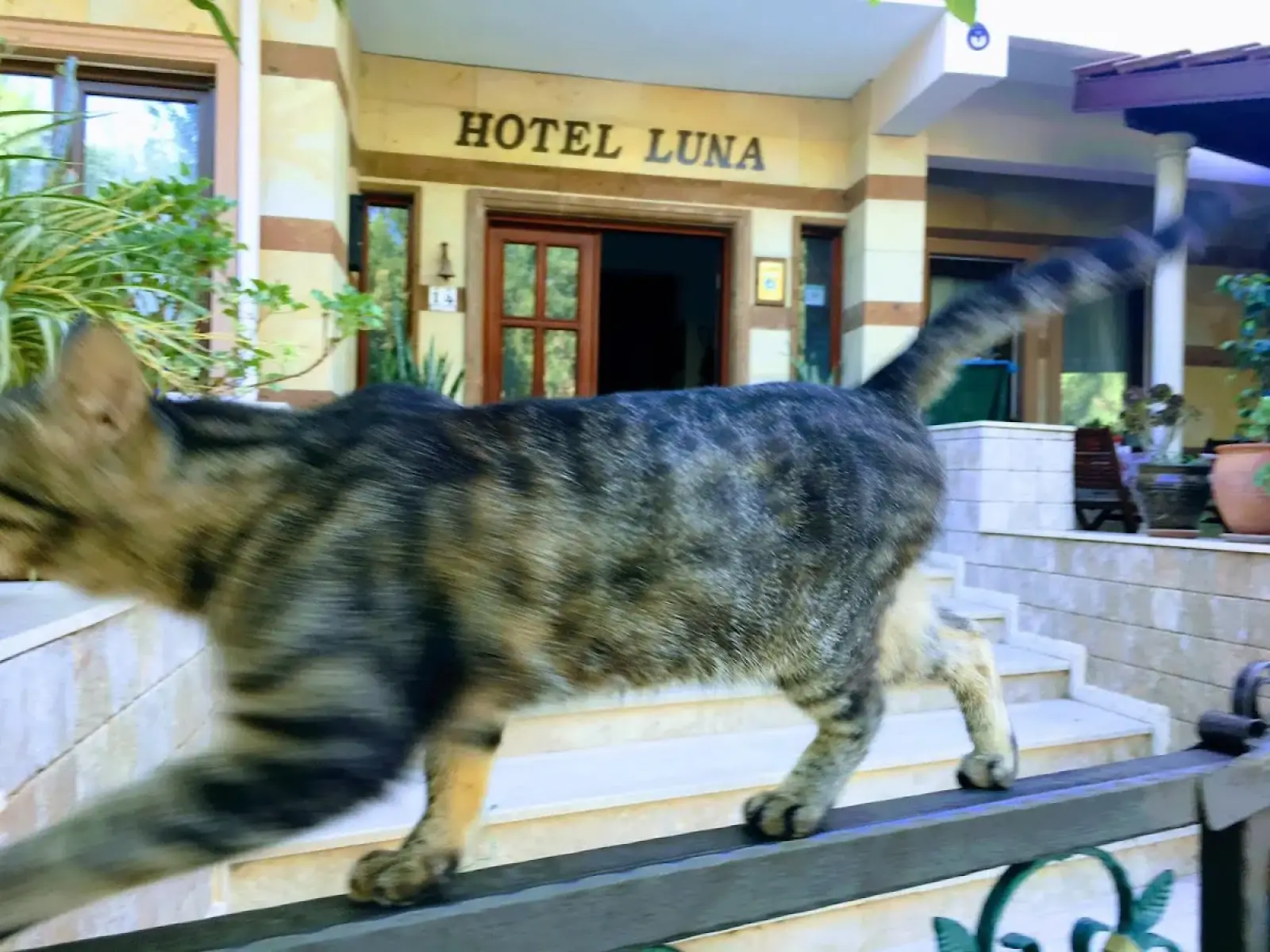 Dalaman Airport (DLM) nach Luna Hotel Datca Privater Transfer