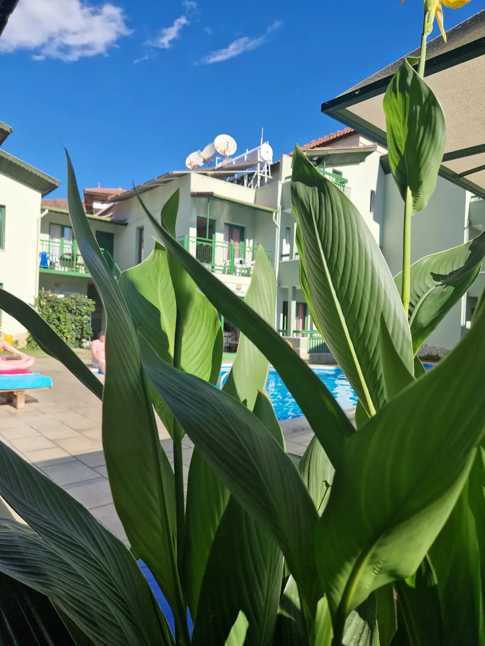 Dalaman Airport (DLM) to Avlu 1 Apartments Private Transfer