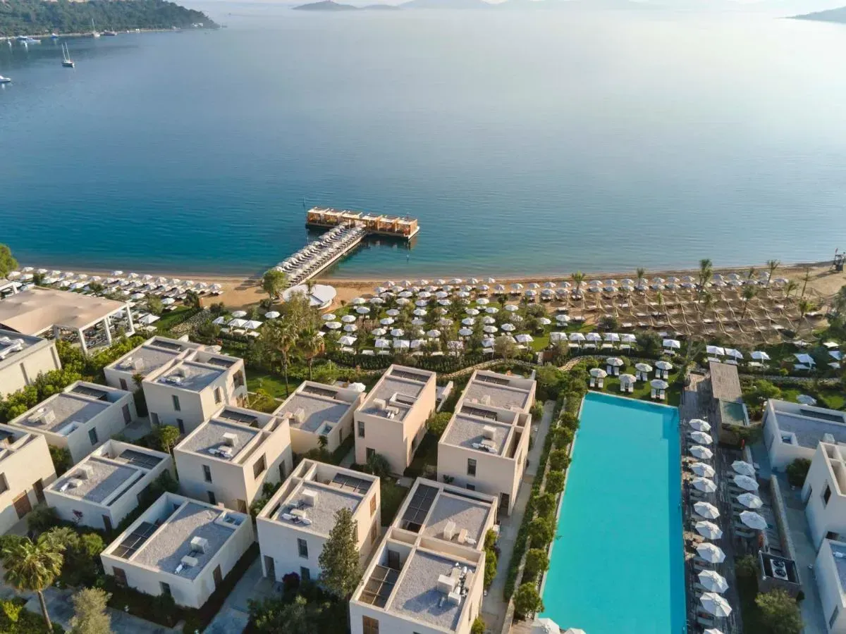 Torba