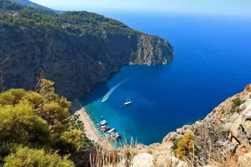 Faralya